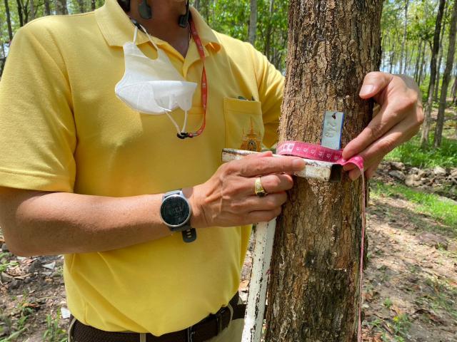 4. กิจกรรมอบรมเชิงปฏิบัติการ การเตรียมความพร้อมเพื่อจัดทำคาร์บอนเครดิตของป่าชุมชนท่าทองแดง วันที่ 20 พฤษภาคม 2567 ณ ป่าชุมชนท่าทองแดง หมู่ที่ 7 ตำบลนาโบสถ์ อำเภอวังเจ้า จังหวัดตาก